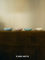 Designer ceramic pet bowls displayed in a calm home setting, blending pet essentials with interior decor.