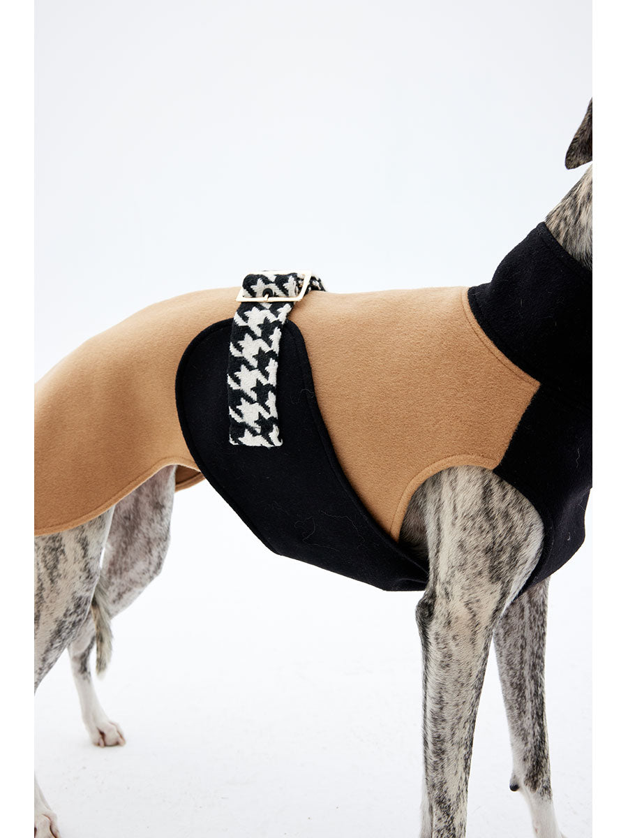 Close-up of the back strap detail on a designer wool dog coat