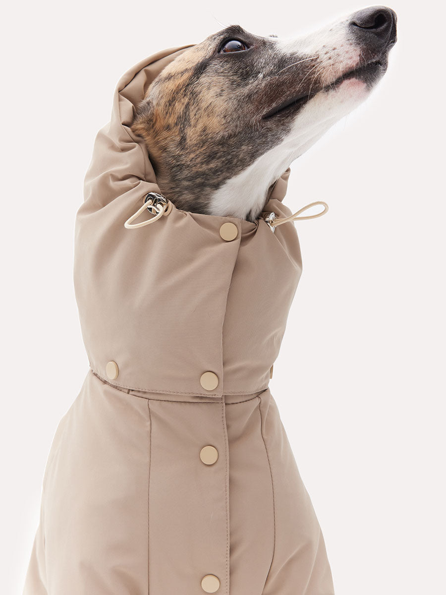 Close-up of the detachable hood on a dog down jacket with adjustable drawstrings