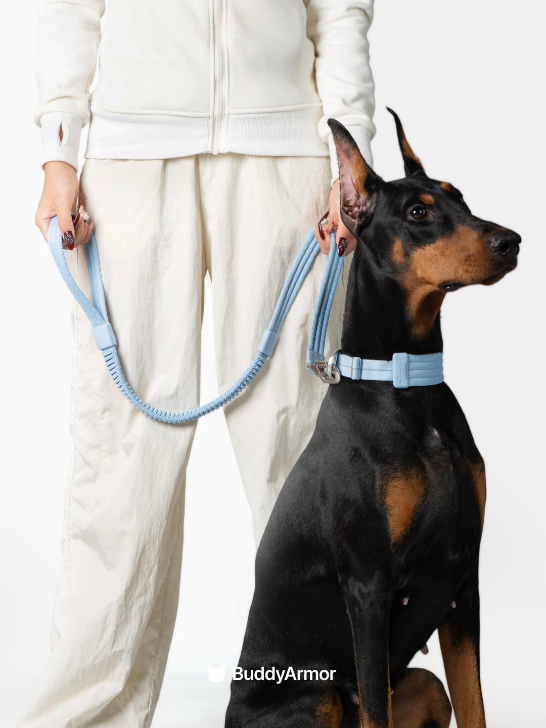 A Doberman sitting calmly beside a person, wearing a blue collar and connected to a blue dog leash held loosely at the owner's sides