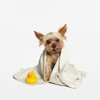 Small dog resting on the floor wrapped in a lightweight microfiber towel after bathing