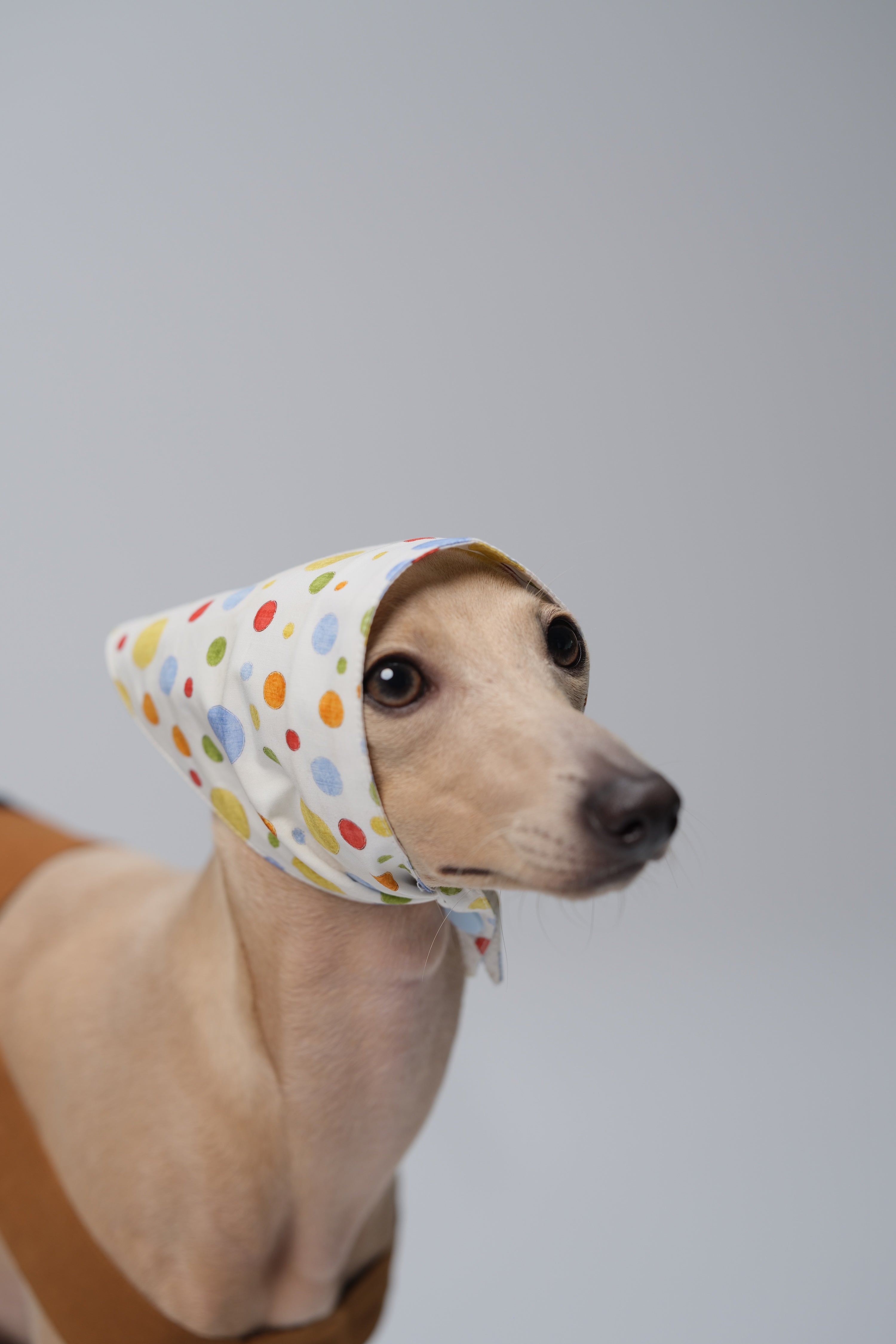 Lightweight cotton dog bandana styled as a head wrap with colorful polka dots