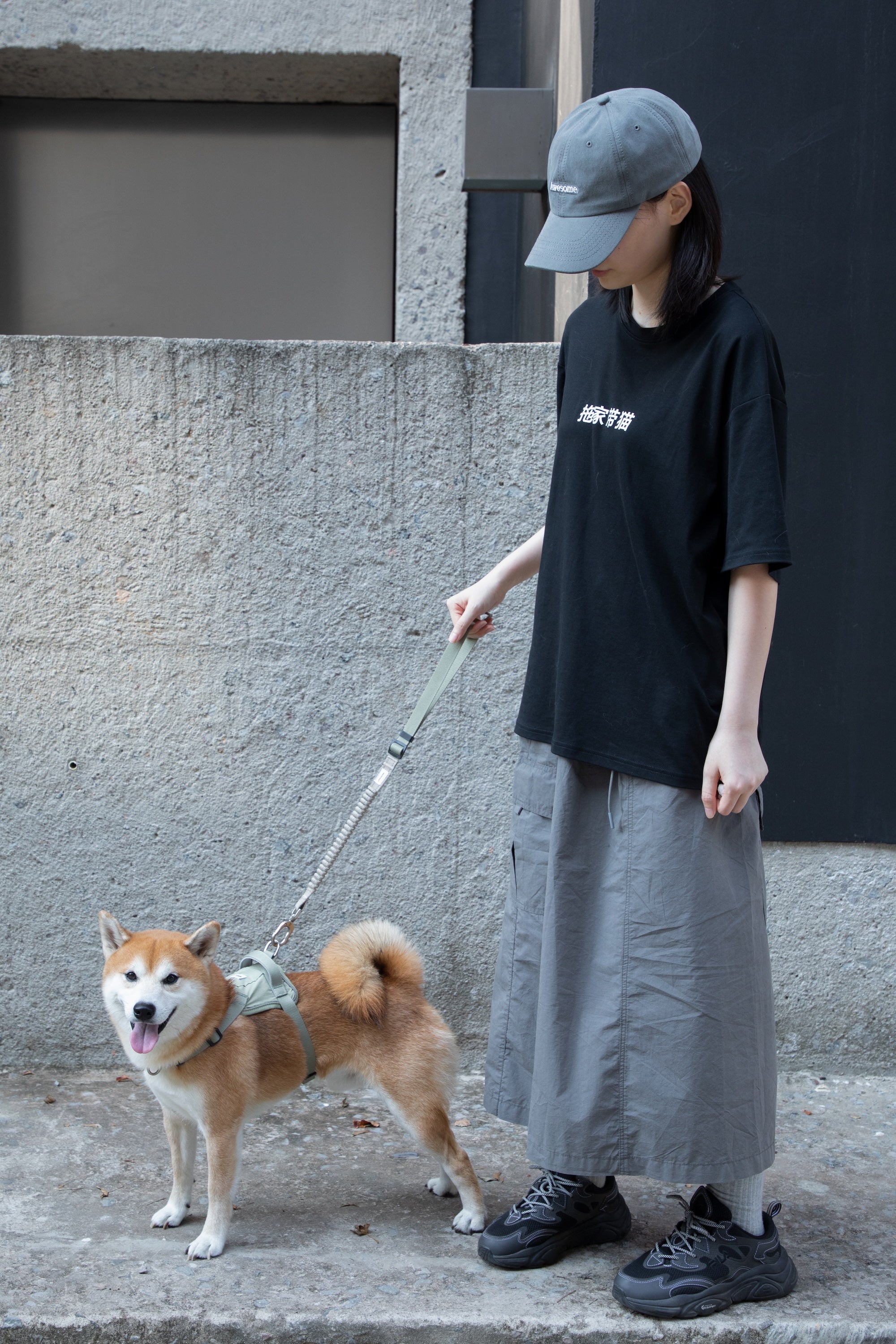 Dog car seatbelt tether used as a short leash during outdoor walking, showing multi-purpose use beyond the car.