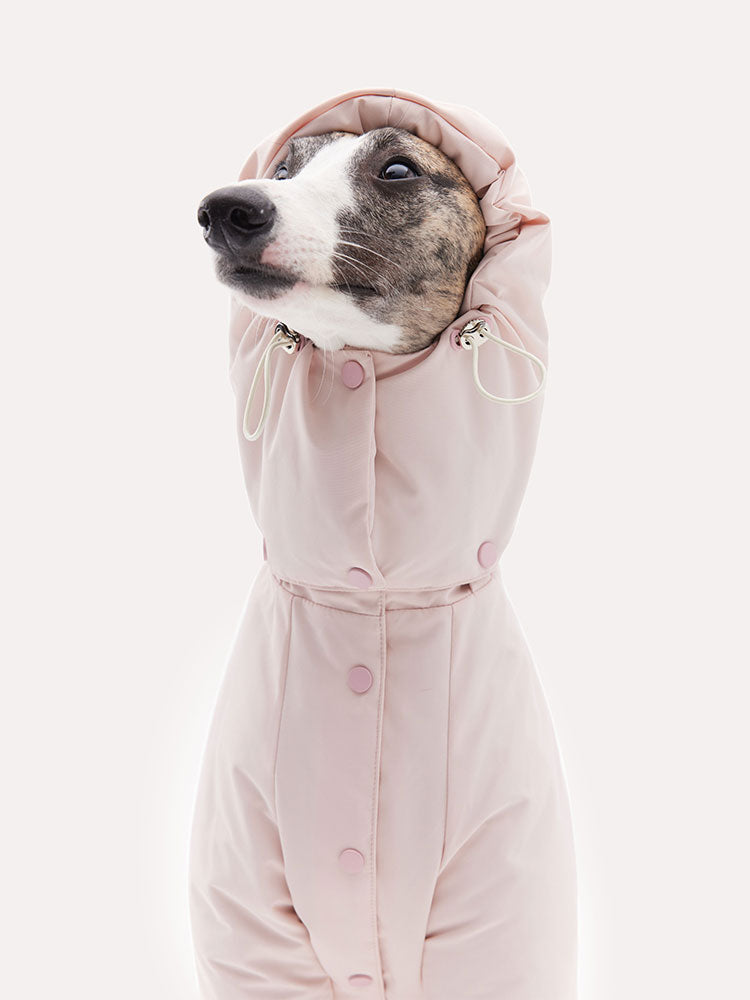 Front view of a dog down jacket with the detachable hood attached for added coverage