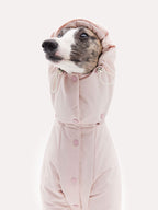 Front view of a dog down jacket with the detachable hood attached for added coverage