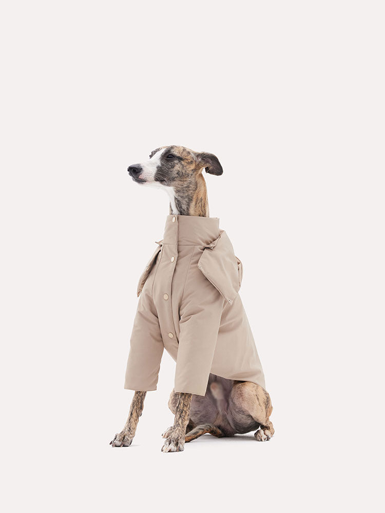 Dog sitting while wearing a down jacket without the hood, showing the high collar structure