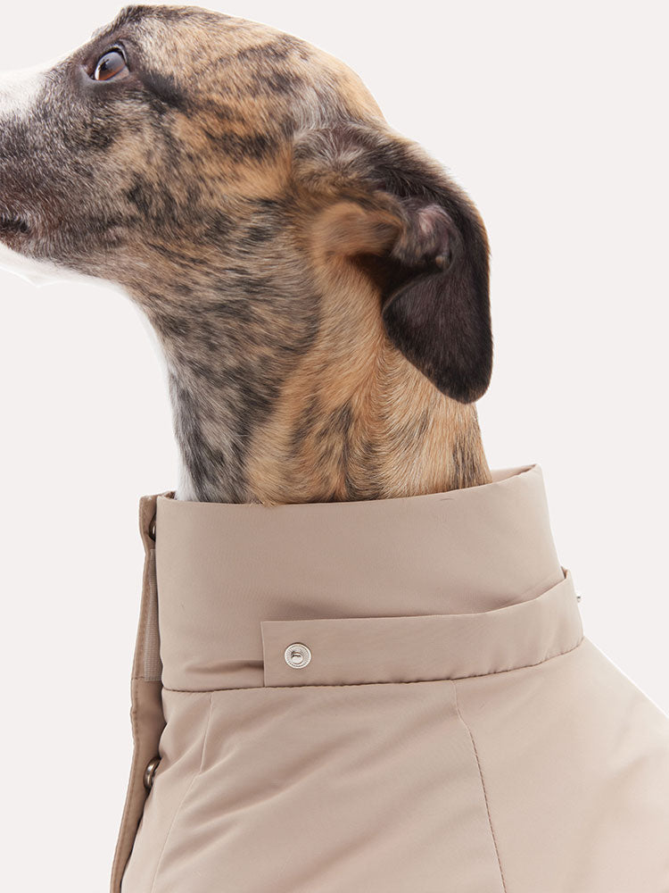 Dog down jacket shown without the hood, highlighting the structured high collar design