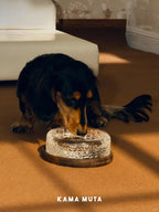 Small dog drinking water from a crystal pet bowl placed on a solid wood base in a home setting