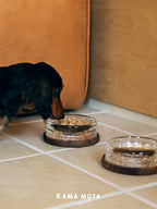 Dog eating dry food from a crystal feeding bowl with a matching crystal water bowl beside it