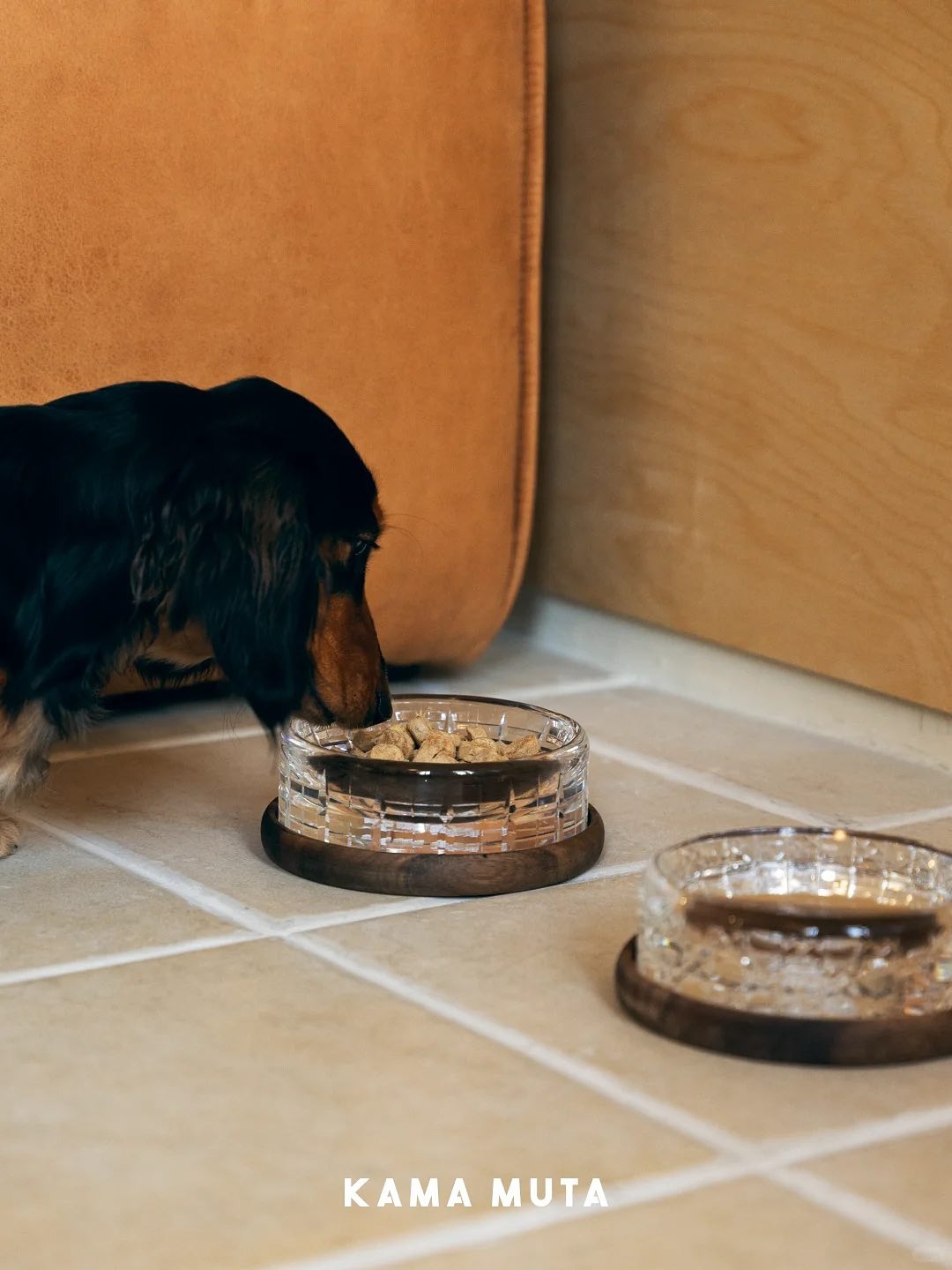 Dog eating dry food from a crystal feeding bowl with a matching crystal water bowl beside it