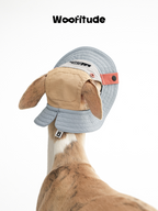 A dog is shown from the back wearing a dog hat, revealing adjustable panels, ear openings, and stitched brim structure