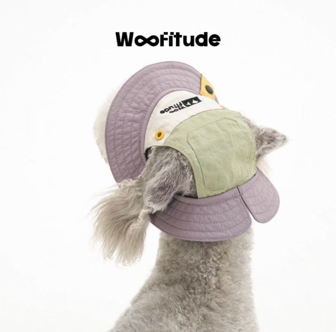 A poodle is shown from the back wearing a dog hat with wide brim and ear openings, highlighting lightweight fabric and structured stitching