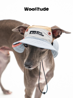 A slim dog wearing a dog hat in front view, showing wide brim design, ear openings, and adjustable chin strap on a white background