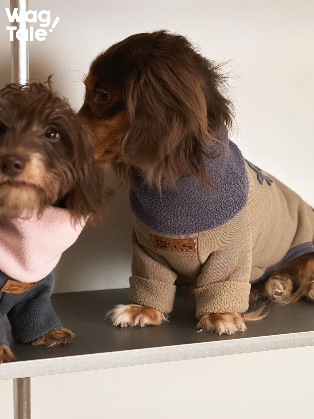 Close-up of dogs wearing dog jumpers, focusing on the soft high-neck collar and neatly finished cuffs.