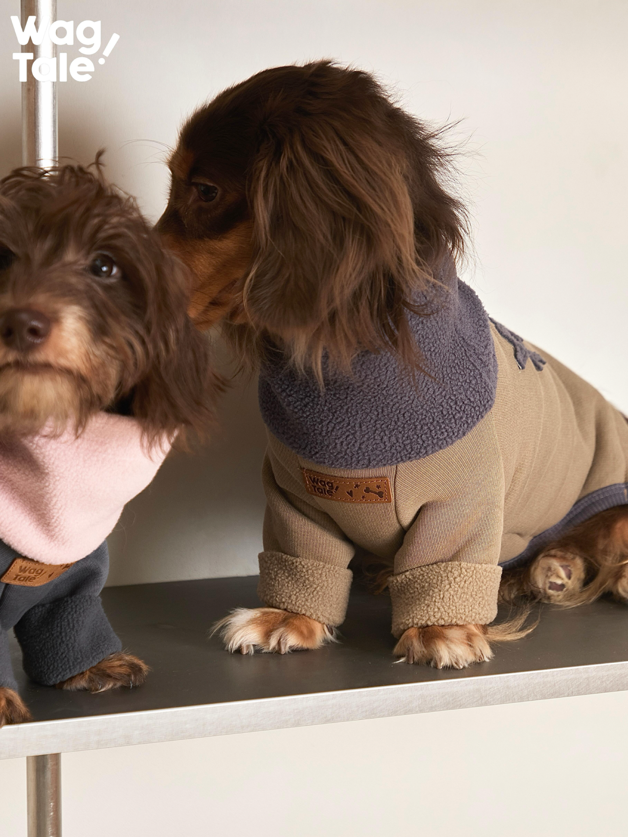 Close-up of dogs wearing dog jumpers, focusing on the soft high-neck collar and neatly finished cuffs.