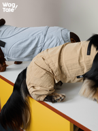 Two dogs wearing lightweight dog jumpsuits in light blue and khaki, showing breathable fabric, windproof function, and relaxed summer fit.