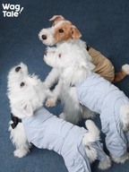 Three dogs playing while wearing lightweight dog jumpsuits, highlighting four-leg construction, windproof fabric, and flexible movement for everyday summer activities.