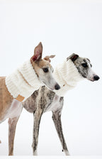 Modern dog neck scarf designed for sighthounds, soft fleece dog accessory in neutral color