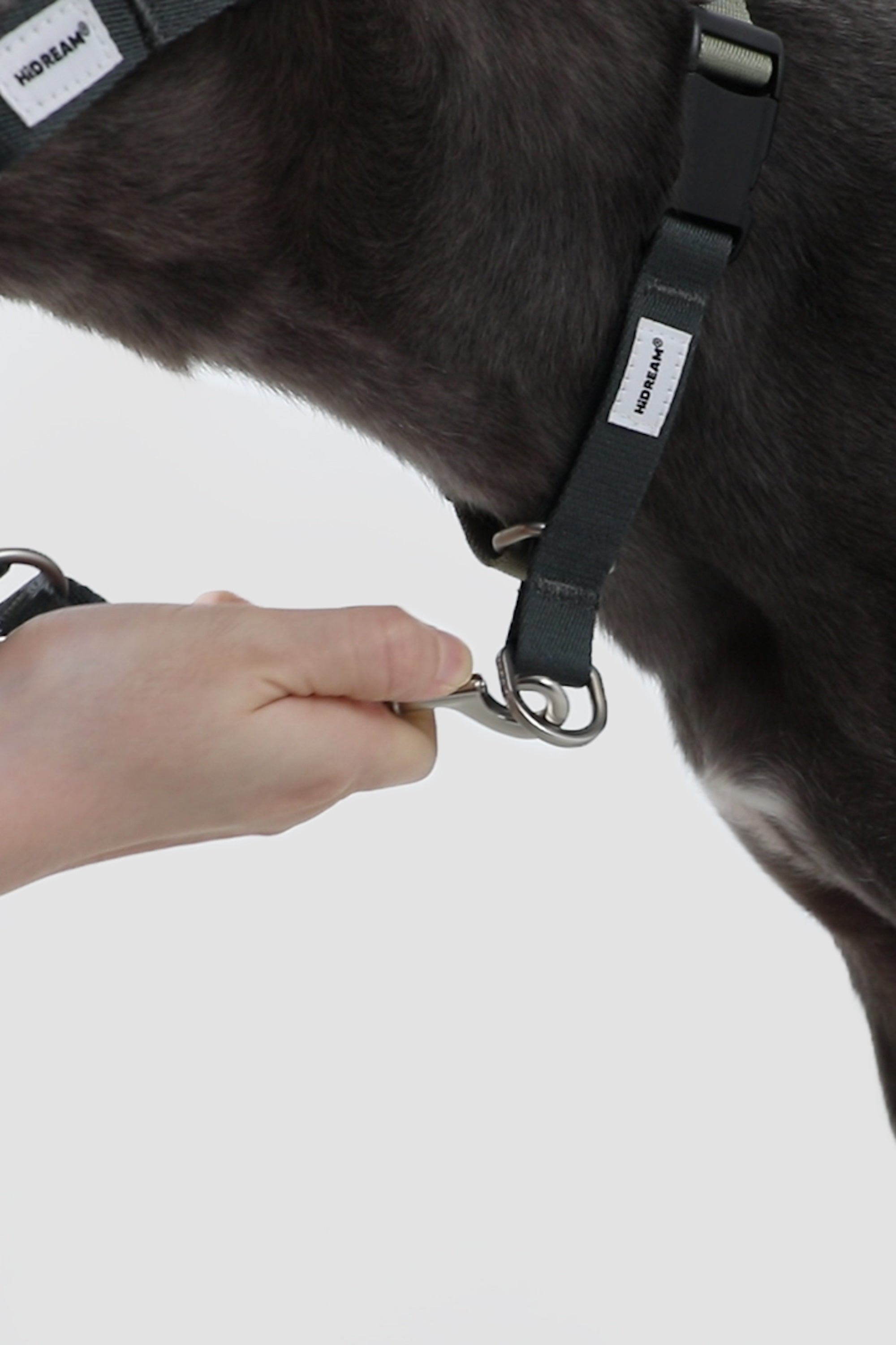 Detail view of the side strap and metal D-ring on a dog nose collar, highlighting secure attachment points.
