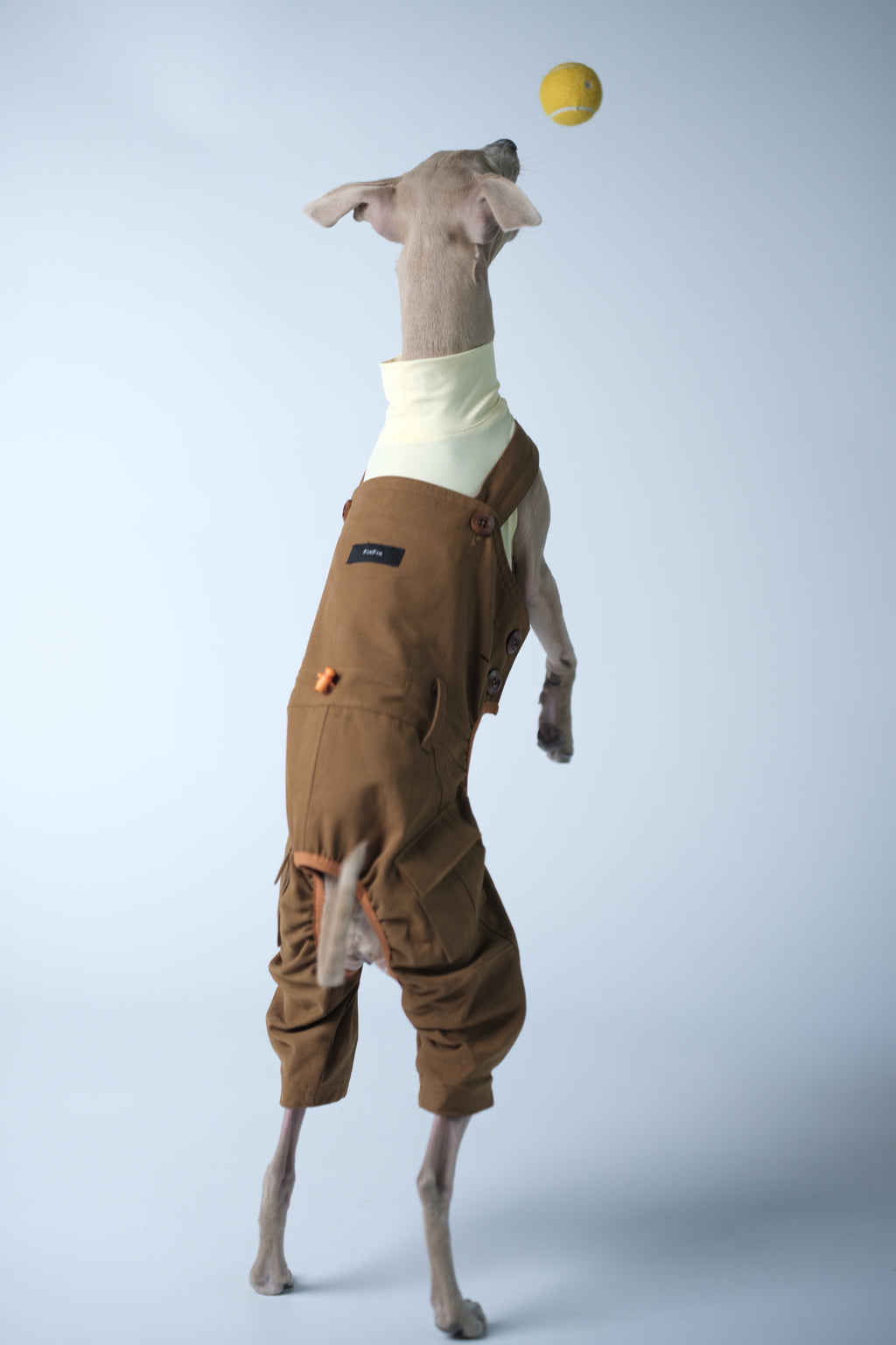 Dog jumping to catch a tennis ball while wearing a lightweight dog overall, showing unrestricted movement and flexible fit.