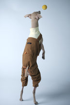 Dog jumping to catch a tennis ball while wearing a lightweight dog overall, showing unrestricted movement and flexible fit.
