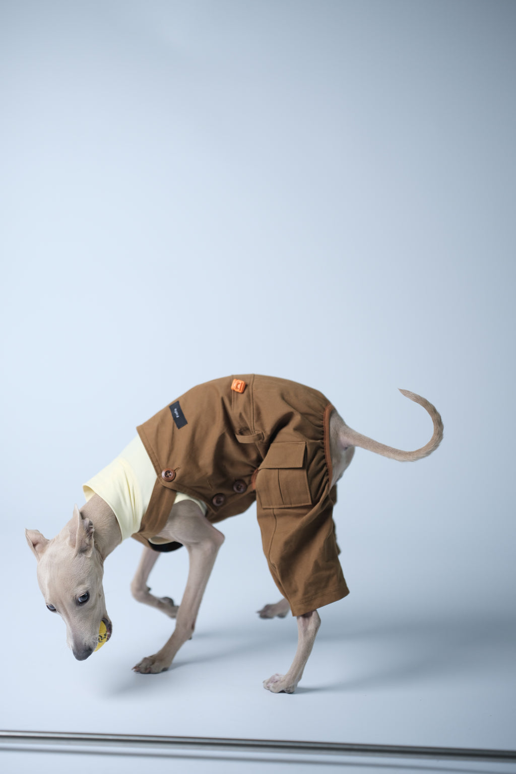 Dog playing with a ball on the floor in a brown dog overall, highlighting flexibility around the legs and waist.