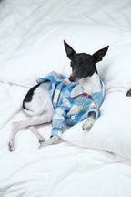 Sighthound resting on a white bed in a soft cotton dog pajama, highlighting breathable fabric and comfortable sleepwear design.

