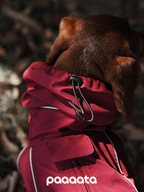 Back view of a red dog rain jacket showing the adjustable hood with drawstring, designed to protect the neck and head from wind and rain.