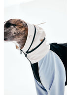 Foldable hood detail integrated into the collar of a dog raincoat