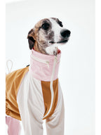 Front view of a dog raincoat featuring a zip-up high collar and lightweight waterproof fabric