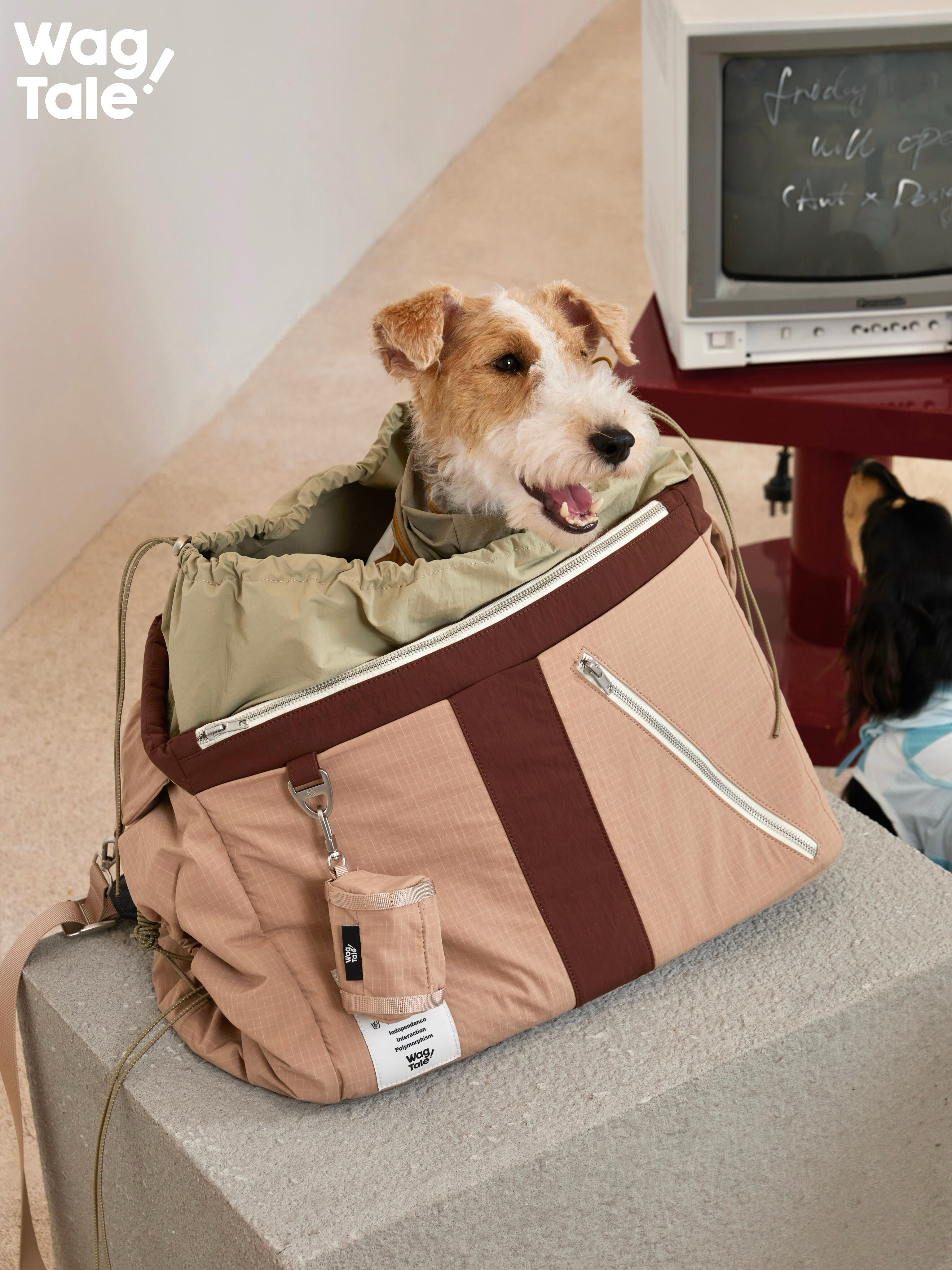 One dog sitting inside a beige dog carrier placed on a platform, with another dog positioned outside next to it.