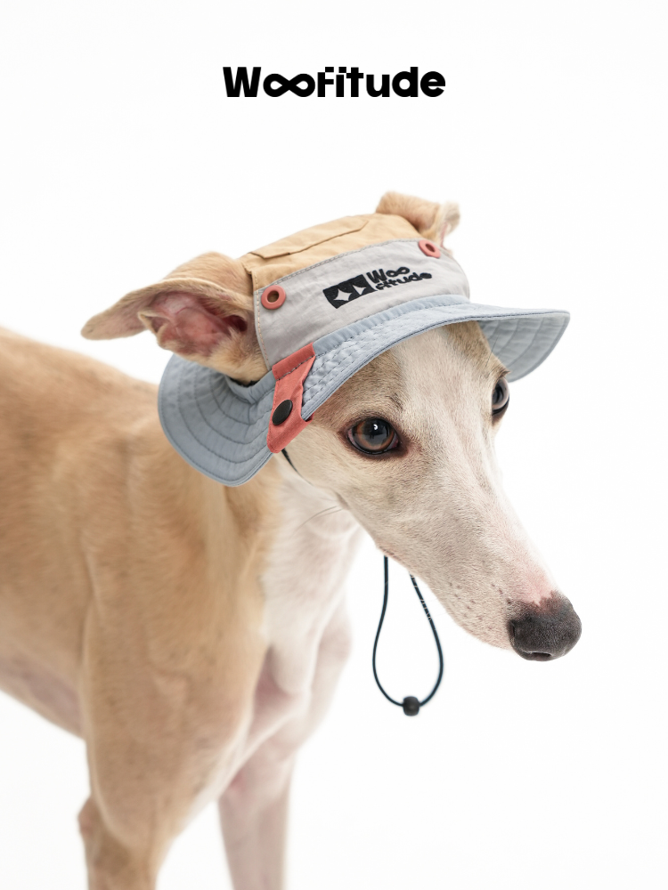 A slim dog shown in side view wearing a dog sun hat with wide brim, soft fabric panels, and chin strap for secure fit