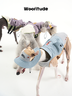 Multiple dogs wearing dog vests are shown from side and back angles, revealing breathable back panels, layered construction, and overall coverage