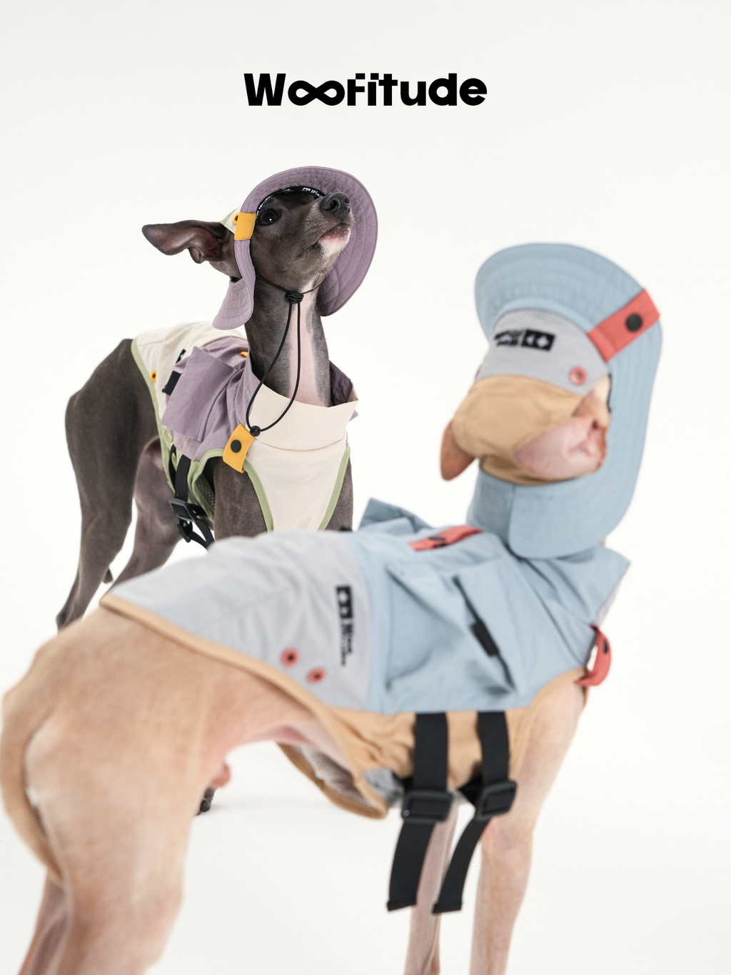 Two dogs are shown from the back wearing dog vests with adjustable straps, highlighting secure fastening and balanced rear coverage