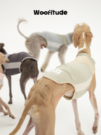 A slim dog is shown from the back wearing a light green dog vest, with other dogs blurred behind, emphasizing rear coverage and the panel layout across the back
