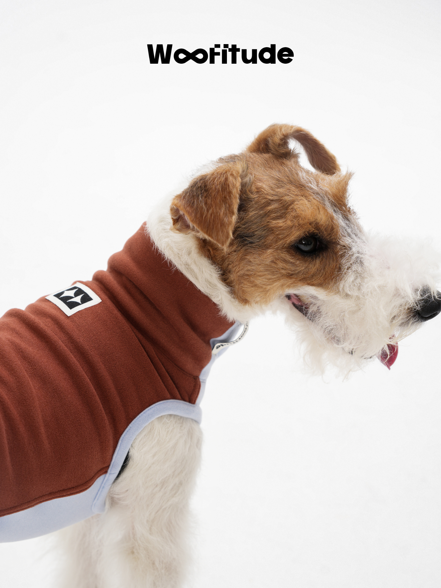 Close-up of a dog wearing a high-collar dog vest, focusing on the woven label and soft fleece texture.