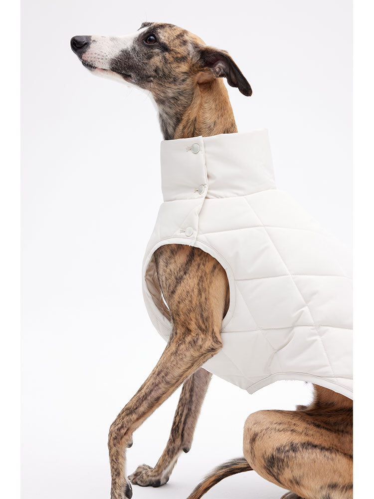 Dog sitting in a quilted vest with a structured high neck and minimalist design