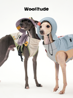 Two italian greyhound type dogs wear dog vests and sun hats, showing close-up details of collar shape, layered fabric, and lightweight structure