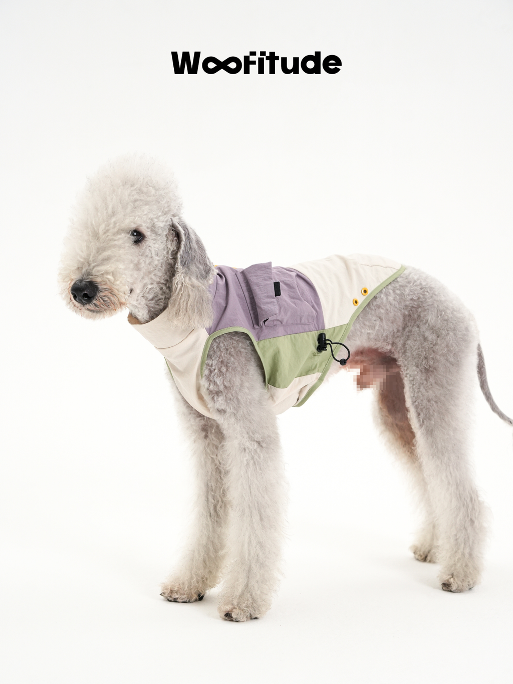 A poodle stands wearing a dog vest with visible side pocket detail, showing structured panels and a clean silhouette from the side view