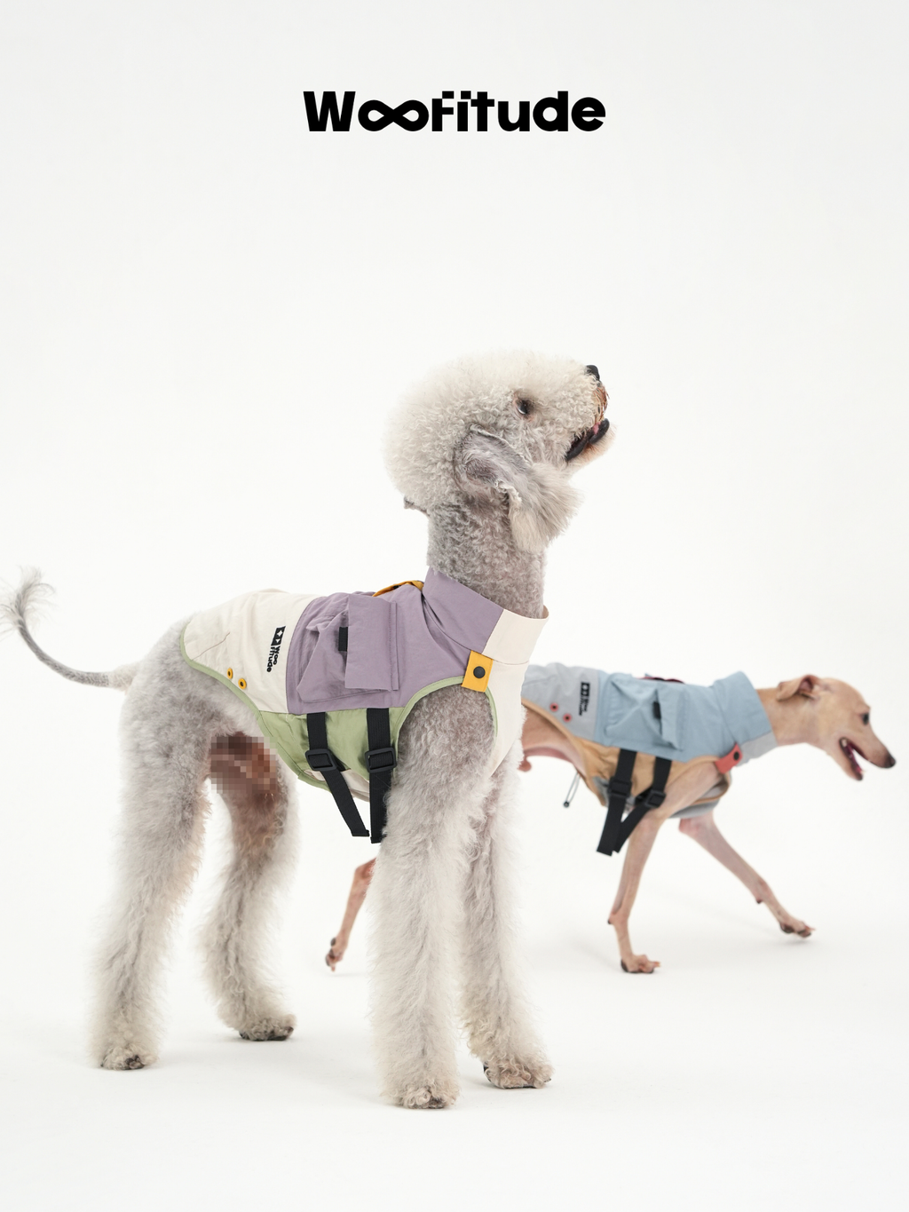 Two slim dogs stand on a white background wearing lightweight dog vests, shown in side view with visible chest panels, adjustable straps, and layered fabric construction, highlighting fit and structure on slender body types