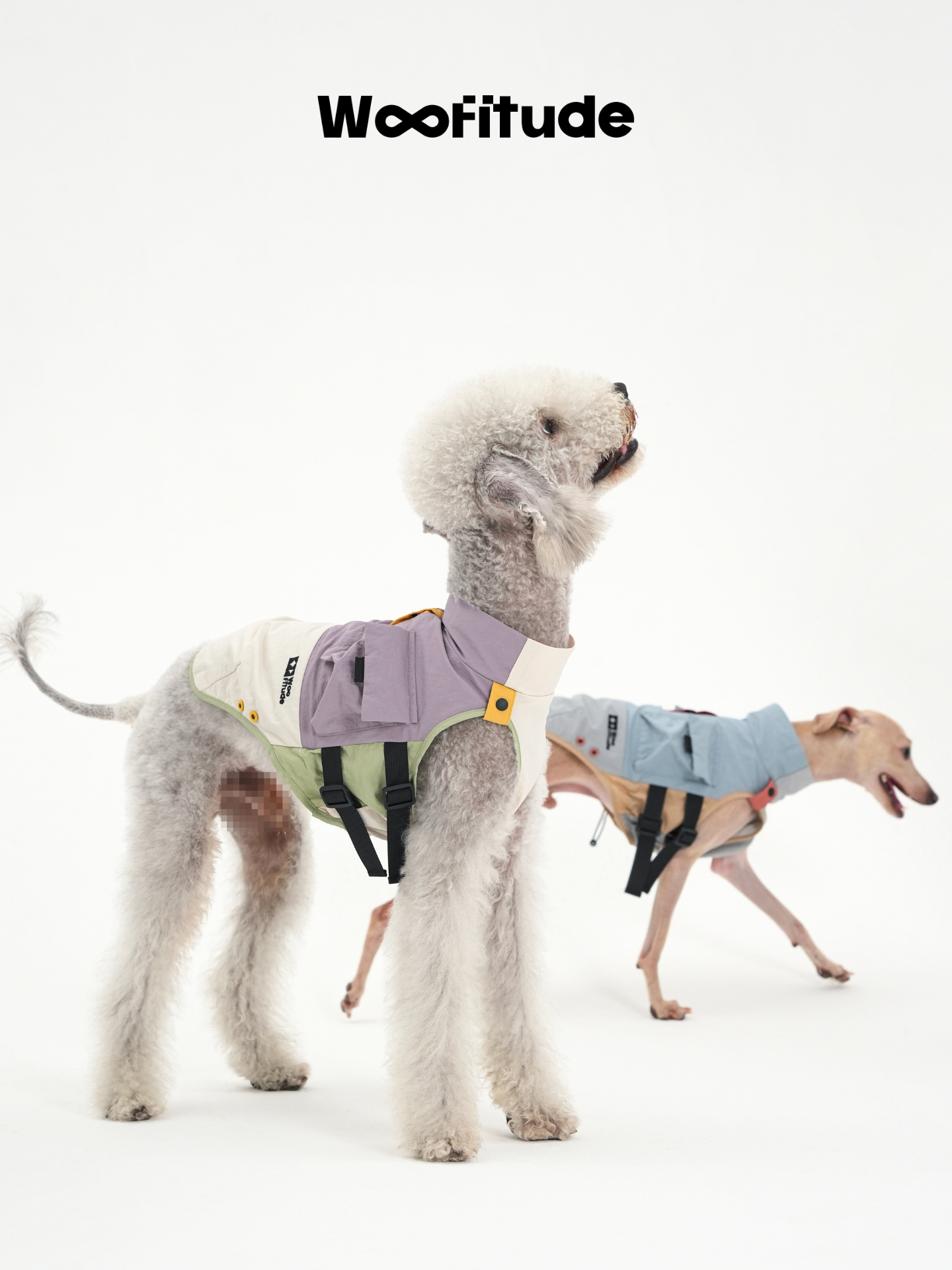 Two slim dogs stand on a white background wearing lightweight dog vests, shown in side view with visible chest panels, adjustable straps, and layered fabric construction, highlighting fit and structure on slender body types
