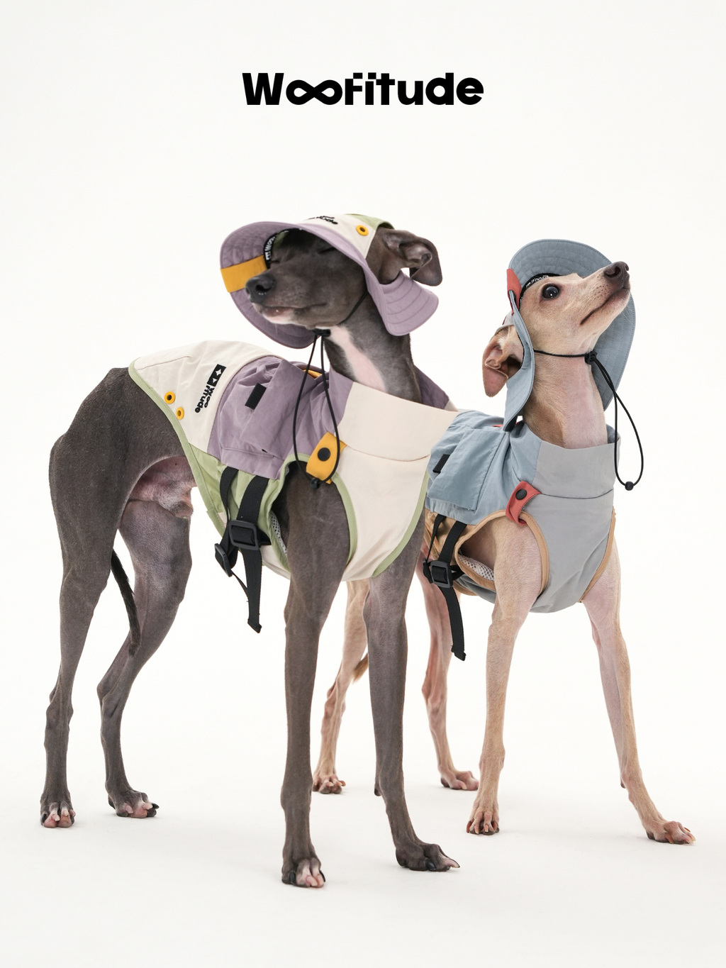 Dog vest worn by two slim dogs, showing lightweight fit and layered design