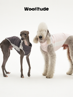 Two dogs stand side by side on a white background wearing dog vests, showing a grey vest on a slim dog and a light pink vest on a poodle with clean panel lines