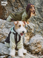 A terrier in the foreground wearing a color-block dog windbreaker with a four-leg fit and hood, while a dachshund in a green outdoor dog jacket rests on rocks behind.