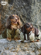 Two dachshunds posed on rocks wearing windproof, water-resistant dog windbreakers, shown from the front to highlight the structured fit and outdoor dogwear design.