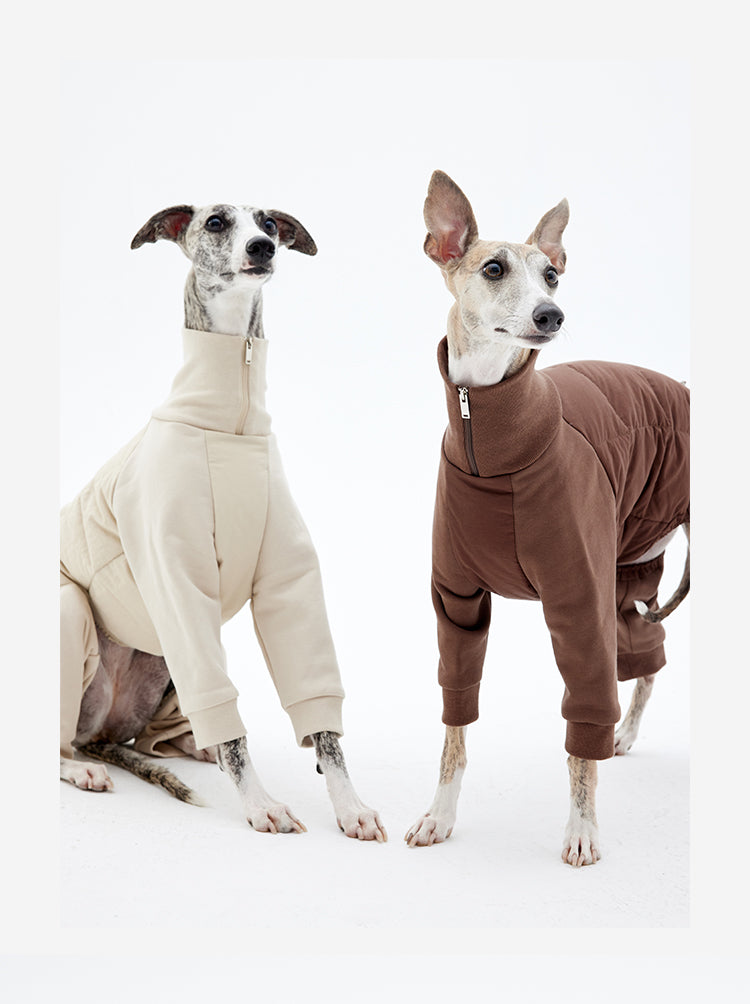 Dog winter jacket shown on dogs in sitting and standing positions to display overall fit