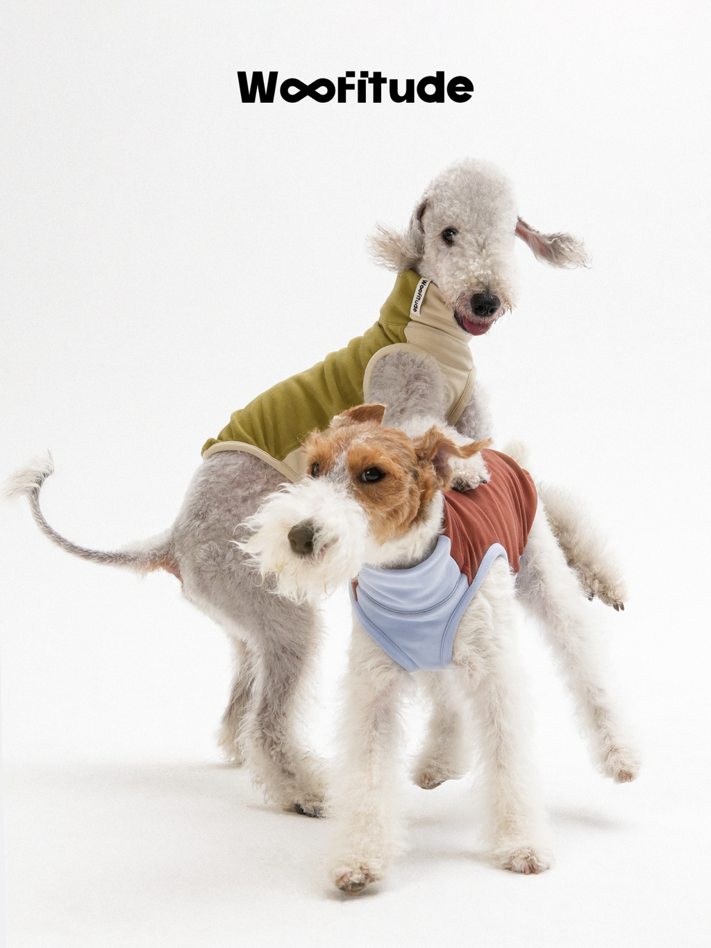 Two dogs interacting in warm dog vests during movement, showing flexibility and secure fit during play.
