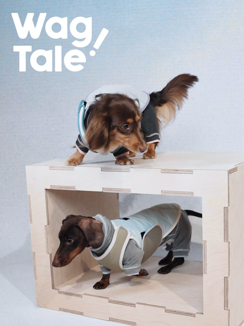 Reversible dog vest shown in different wearing positions, demonstrating flexible styling and freedom of movement.