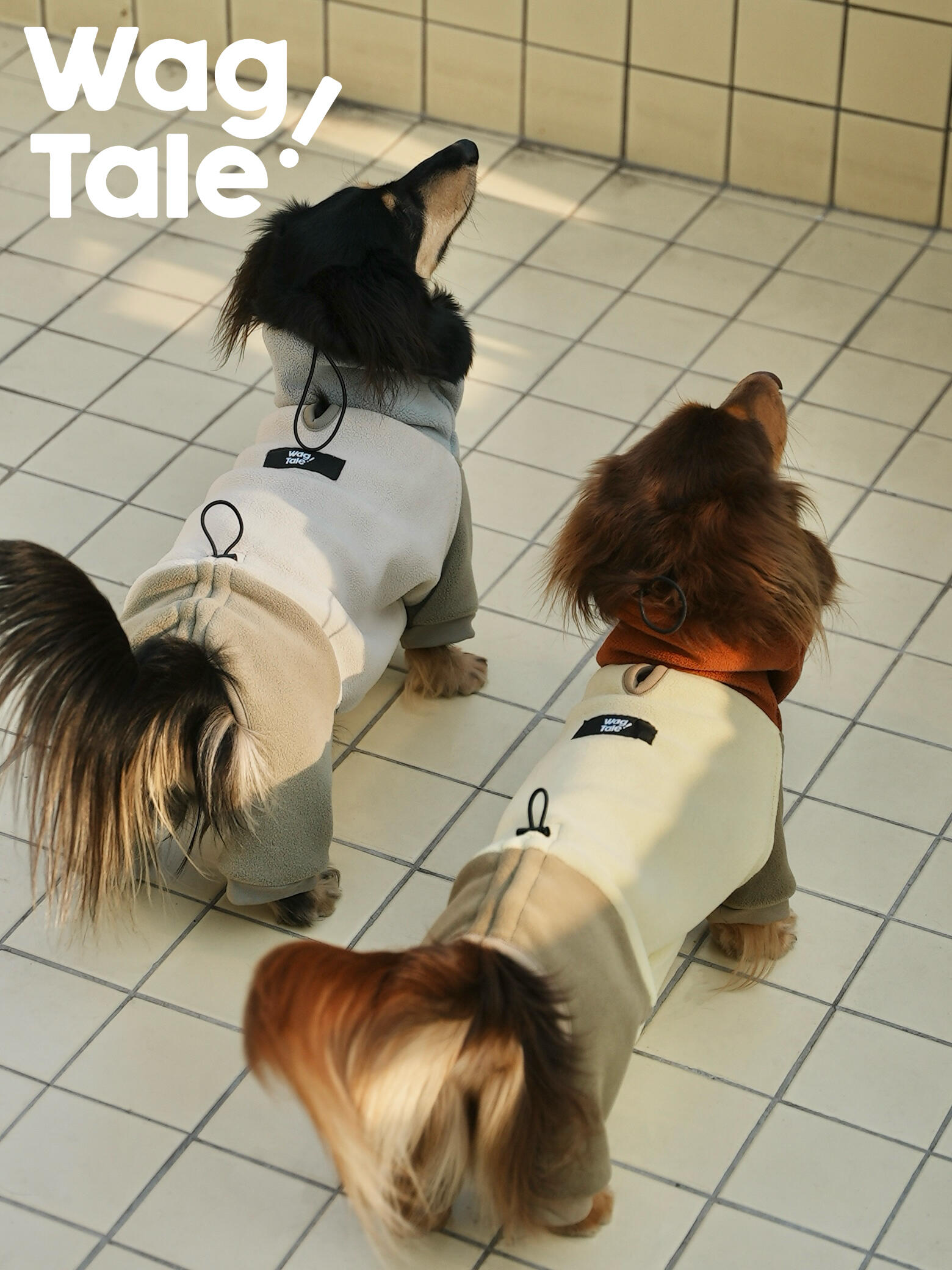 Two dachshunds seen from behind wearing double-sided fleece winter dog suits with four-leg coverage, photographed on a tiled floor to show full-body fit and cozy color-block styling.