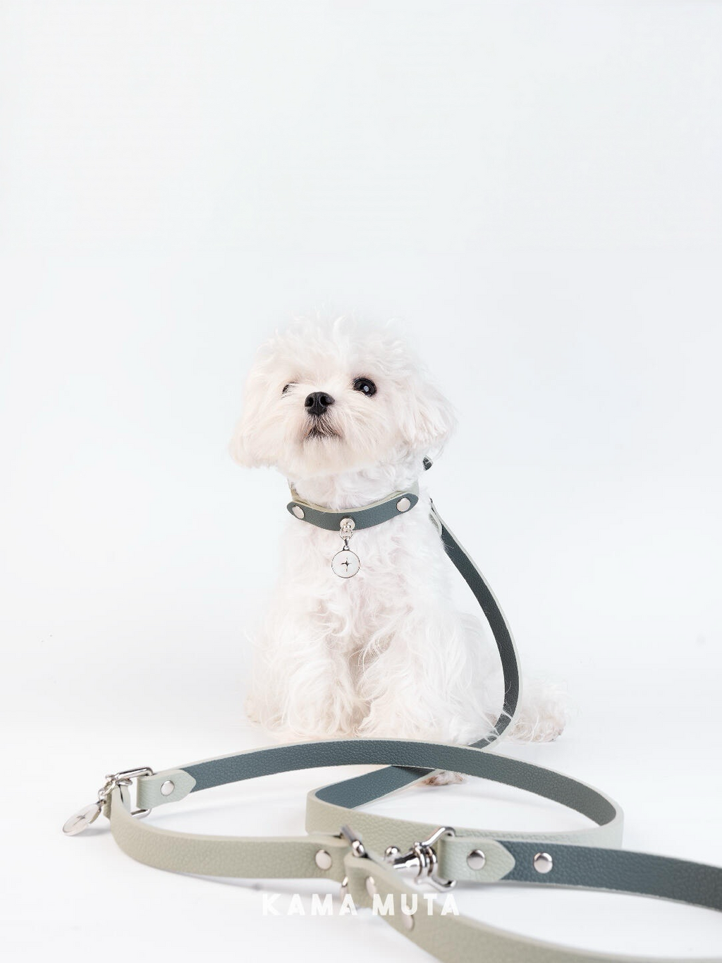 Eco friendly leather dog leash with clean lines, displayed alongside a small dog in a bright studio setting